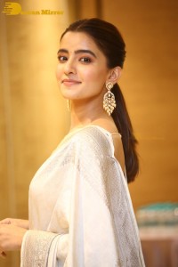 Actress Rukshar Dhillon Photoshoot in a Silver Color Saree