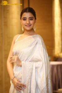 Actress Rukshar Dhillon Photoshoot in a Silver Color Saree