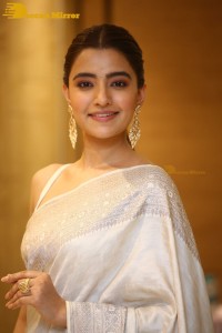 Actress Rukshar Dhillon Photoshoot in a Silver Color Saree