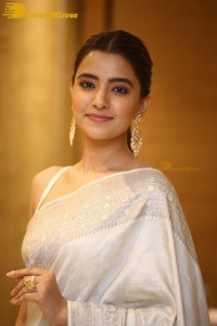 Actress Rukshar Dhillon Photoshoot in a Silver Color Saree