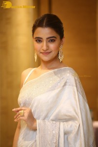 Actress Rukshar Dhillon Photoshoot in a Silver Color Saree
