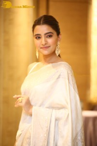 Actress Rukshar Dhillon Photoshoot in a Silver Color Saree