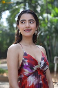 actress rukshar dhillon cute photoshoot