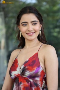 actress rukshar dhillon cute photoshoot