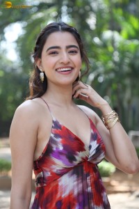 actress rukshar dhillon cute photoshoot