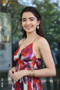 actress rukshar dhillon cute photoshoot