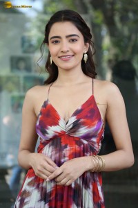 actress rukshar dhillon cute photoshoot