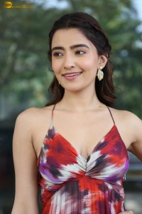 actress rukshar dhillon cute photoshoot