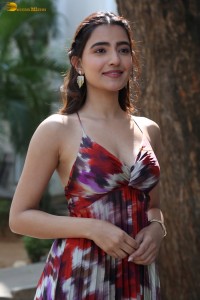 actress rukshar dhillon cute photoshoot