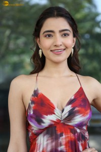 actress rukshar dhillon cute photoshoot