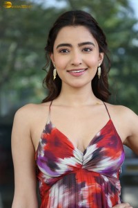 actress rukshar dhillon cute photoshoot