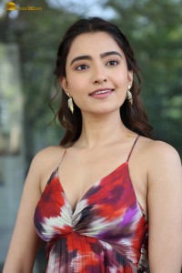 actress rukshar dhillon cute photoshoot