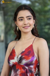 actress rukshar dhillon cute photoshoot