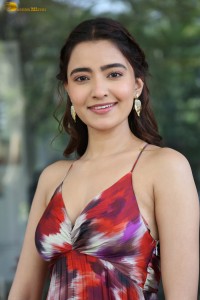 actress rukshar dhillon cute photoshoot