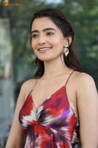 actress rukshar dhillon cute photoshoot