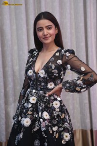 actress rukshar dhillon red-hot in a low neck black dress