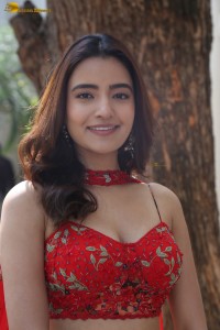 actress Rukshar Dhillon beautiful in a red lehenga choli