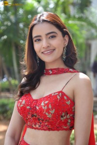 actress Rukshar Dhillon beautiful in a red lehenga choli