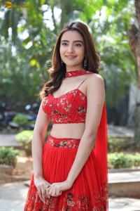 actress Rukshar Dhillon beautiful in a red lehenga choli