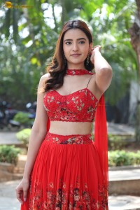 actress Rukshar Dhillon beautiful in a red lehenga choli