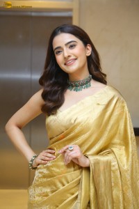 actress Rukshar Dhillon in a gold saree