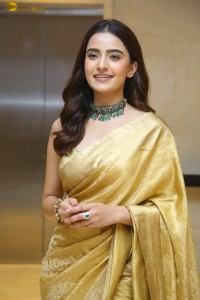 actress Rukshar Dhillon in a gold saree
