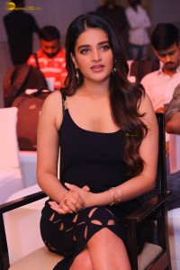 SIIMA 2023 Press Meet attended by Rana Daggubati, Meenakshi Chaudhary and Nidhhi Agerwal