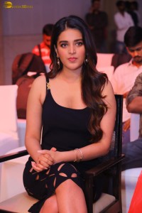 SIIMA 2023 Press Meet attended by Rana Daggubati, Meenakshi Chaudhary and Nidhhi Agerwal