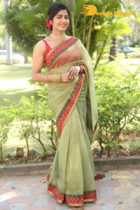 Sai Dhanshika photoshoot in a green saree