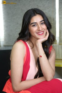 Actress sakshi vaidya in a sleeveless dress posing for pictures