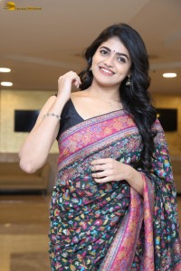 Indian actress Sangeerthana Vipin in a colorful black saree