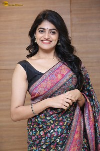 Indian actress Sangeerthana Vipin in a colorful black saree