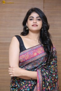 Indian actress Sangeerthana Vipin in a colorful black saree