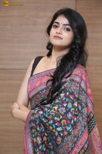 Indian actress Sangeerthana Vipin in a colorful black saree
