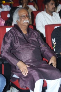 Saripodhaa Sanivaaram Vijaya Veduka attended by Nani, Priyanka Arul Mohan, Ali, SJ Suryah, and Dil Raju