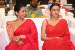 Komalee Prasad and Kiran Abbavaram attend the pre release function of the movie Sebastian PC 524