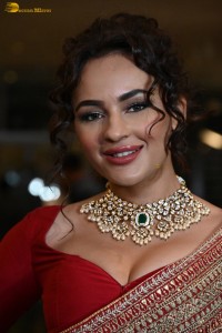 Seerat Kapoor Picture Gallery 4