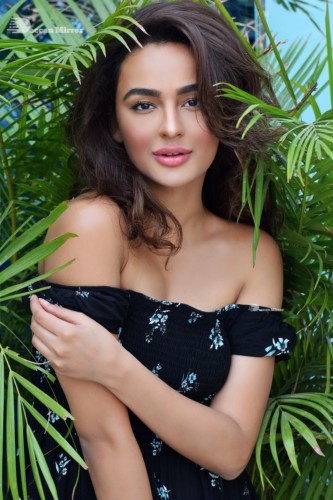 Seerat Kapoor Picture Gallery 1