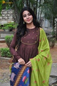 actress shivani nagaram cute photoshoot in a brown salwar