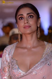 Indian actress shriya saran in a low neck pink dress at function
