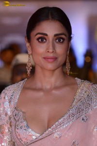 Indian actress shriya saran in a low neck pink dress at function