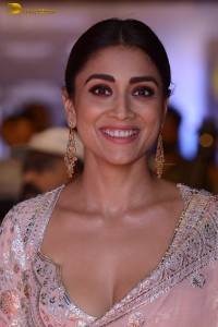 Indian actress shriya saran in a low neck pink dress at function