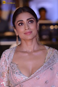 Indian actress shriya saran in a low neck pink dress at function