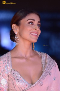 Indian actress shriya saran in a low neck pink dress at function