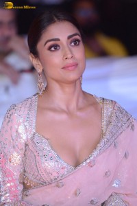 Indian actress shriya saran in a low neck pink dress at function