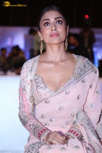 Indian actress shriya saran in a low neck pink dress at function