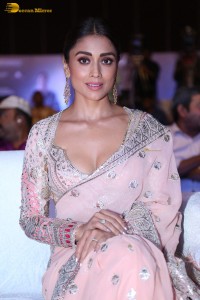 Indian actress shriya saran in a low neck pink dress at function