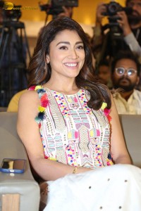 actress shriya saran in a shoulderless colorful dress
