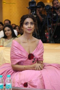 actress shriya saran in a low neck pink dress at a event