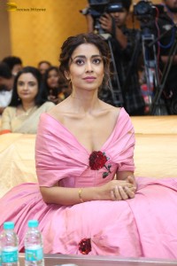 actress shriya saran in a low neck pink dress at a event